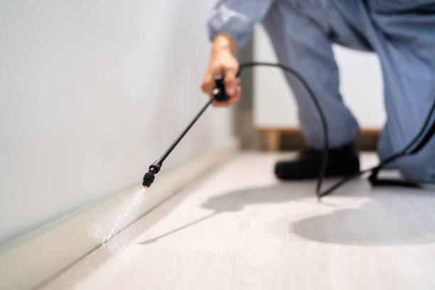 Licensed Termite Control service in Barton County County, KS - Nex Pest Control