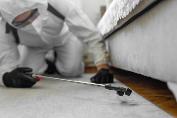 Professional Termite Control technician working in Barton County County, KS